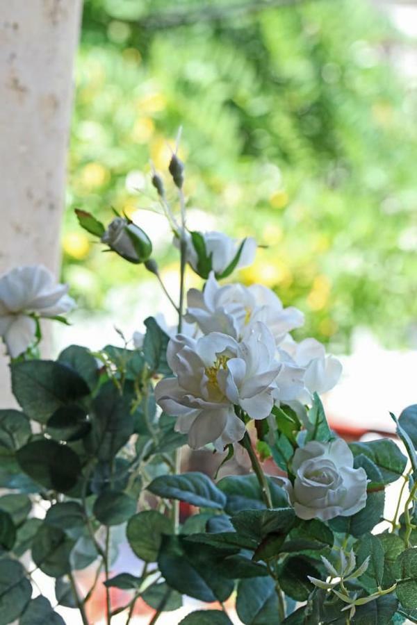 Beautiful Studio In Traditional Afytos Halkidiki-Uvc Sterilized 外观 照片